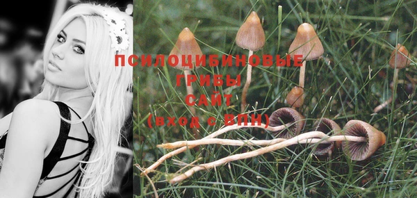 хмурый Покачи
