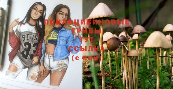 хмурый Покачи